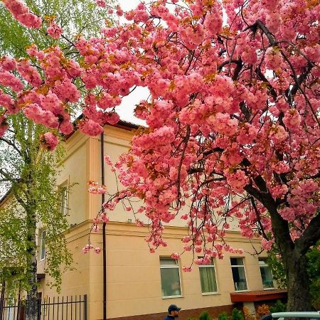 Mini-Hotel Na Pidgradskiy Úzhgorod Exterior foto