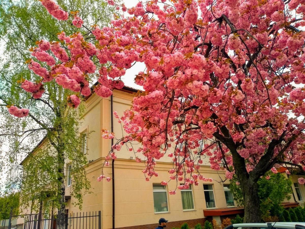 Mini-Hotel Na Pidgradskiy Úzhgorod Exterior foto